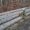 02 Aktion Februar 25 Tiere im Winterwald